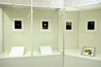 /album/bildgalleri-biologiska-museet-timiryazev/4-christell-nackrosor-jpg/